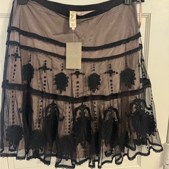 Anthropologie Black Embroidered Overlay A-Line Skirt on Nude Lining - Picture 2 of 11